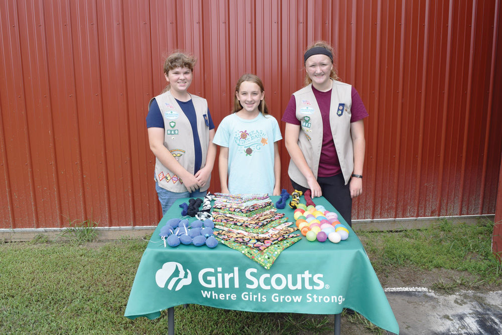 Local Girl Scouts create pet items for Humane Society fundraising effort (copy)